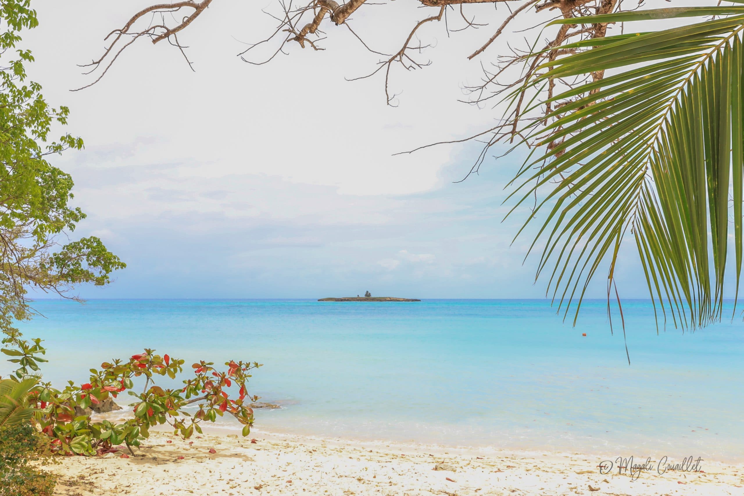 Photo d'une plage à Marie-Galante, Guadeloupe