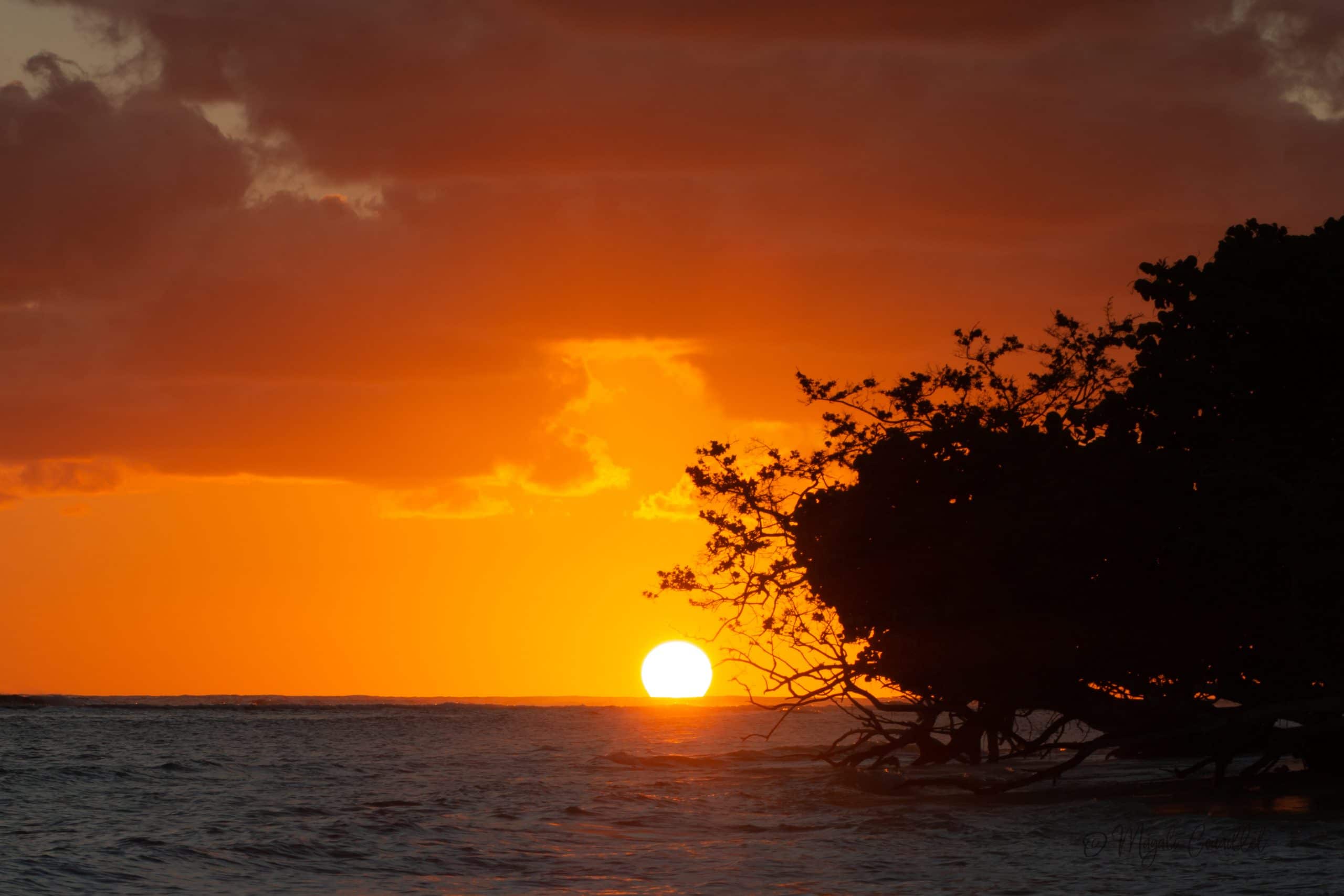 Photo d'une plage au coucher du soleils à Marie-Galante, Guadeloupe