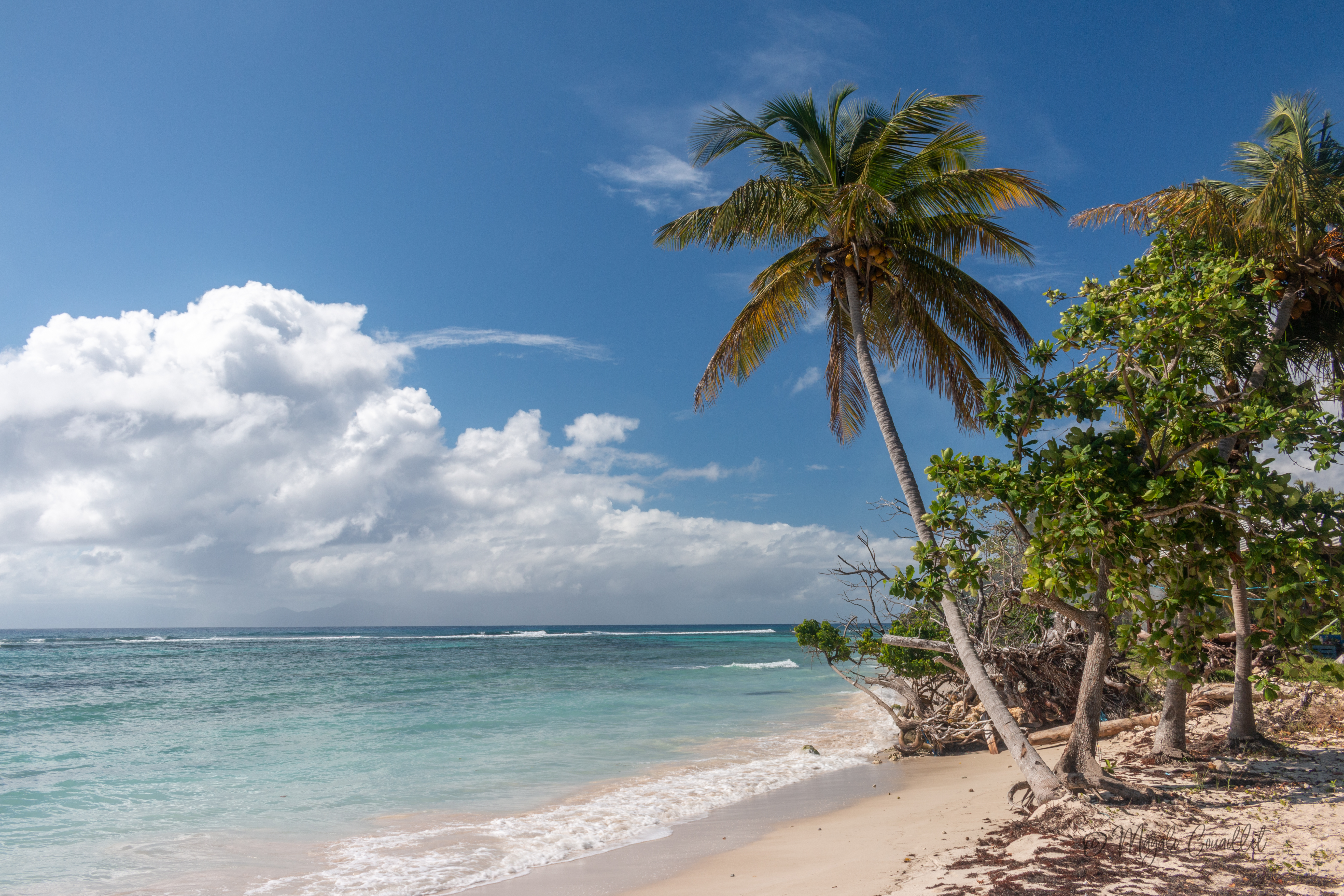 Photo d'une plage à Marie-Galante, Guadeloupe